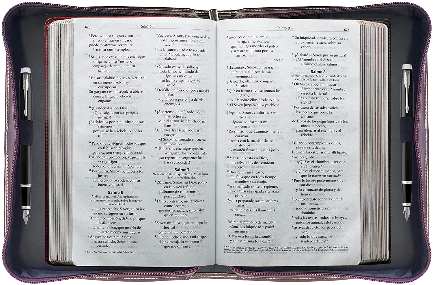 Bible Cover – “I Can Do All Things Through Christ” Philippians 4:13 – Large Two-Tone Burgundy/Tan